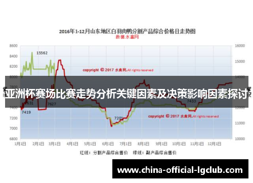 亚洲杯赛场比赛走势分析关键因素及决策影响因素探讨